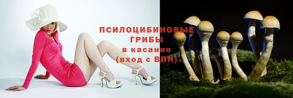 хмурый Гусев