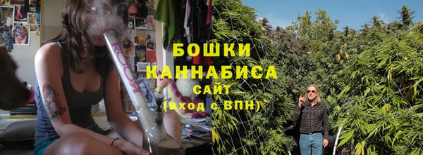 хмурый Гусев