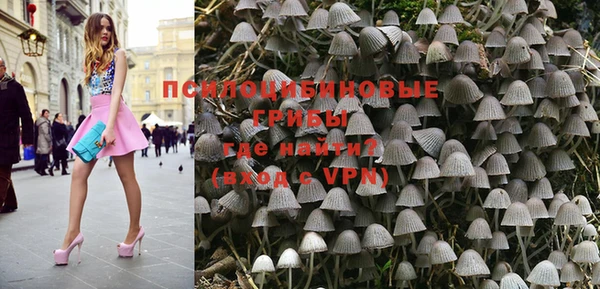 хмурый Гусев